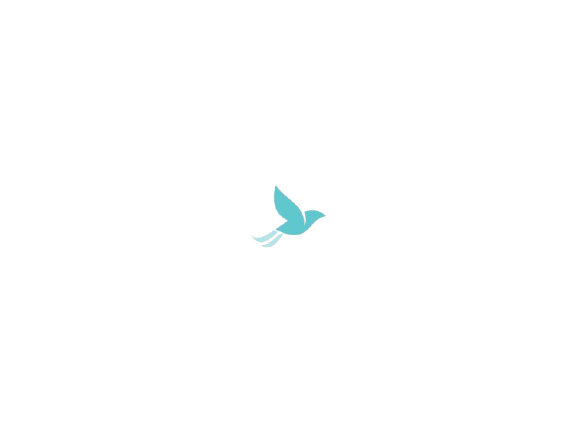 Oiseau décoratif